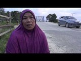 Bencana Banjir di Riau, Hewan Ternak Warga Terseret Arus - NET12