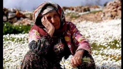 Kurtce Muzik cok damar bir uzun hava ZUKA