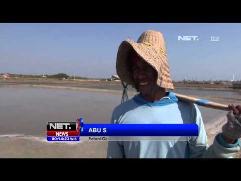 Petani garam percepat masa panen sebagai antisipasi musim hujan - NET24