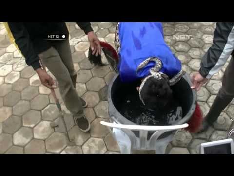 Ritual minta hujan di Tegal - NET12