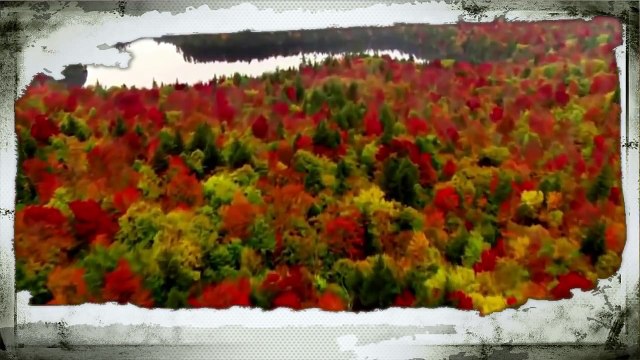 kürtçe uzun hava Super Bir kurtce uzun hava ( Xezal )