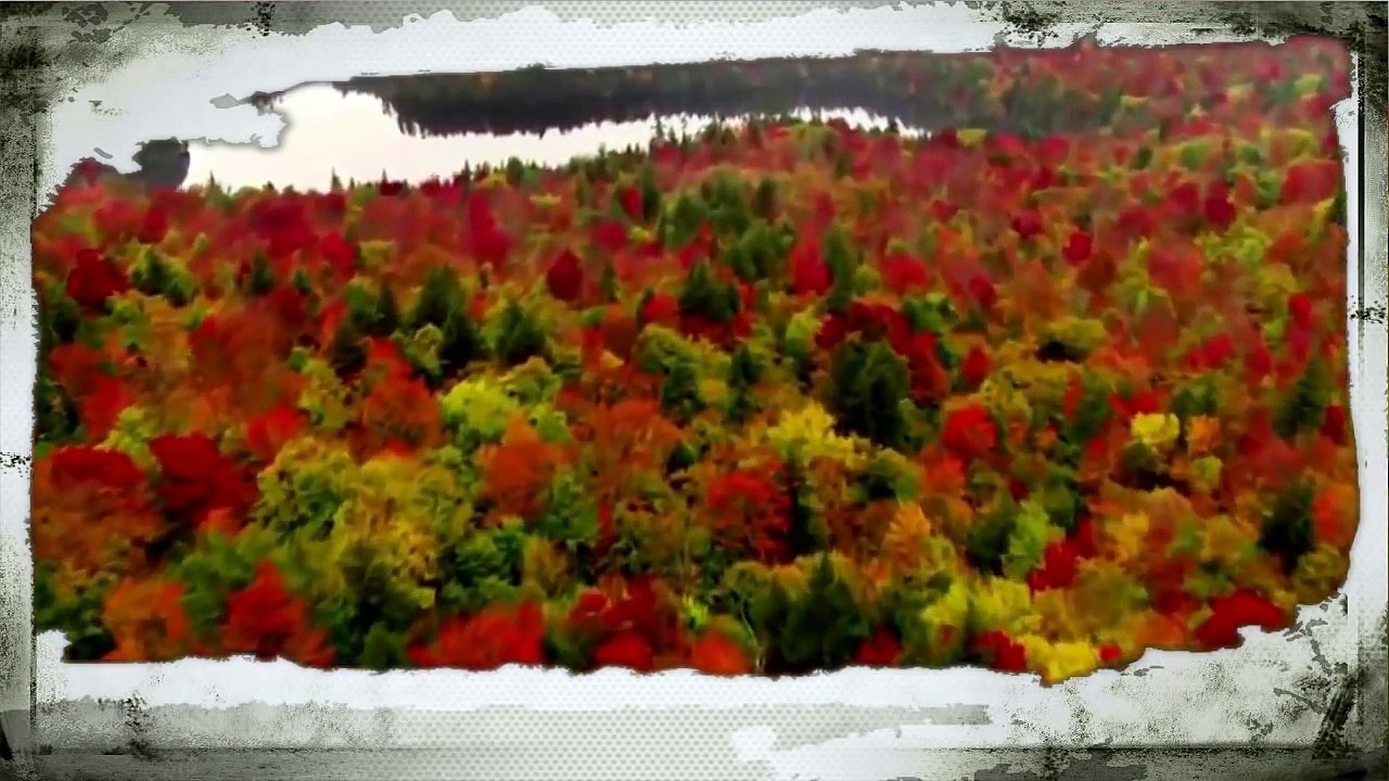 kürtçe uzun hava Super Bir kurtce uzun hava ( Xezal )