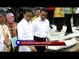 Presiden Joko Widodo berkunjung ke kabupaten Sidrap meninjau lokasi pembangunan irigasi - NET17