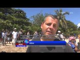 17 ekor penyu hijau dilepaskan di Pantai Kuta Bali - NET24