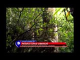 Pesona curug Cibeureum - NET12