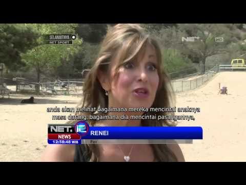 Fenomena situs jejaring sosial khusus hewan peliharaan - NET12