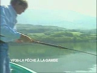 La pêche à la gambe - corégones et poisson lacustre