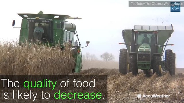 Human nutrition at risk from rising carbon dioxide levels in atmosphere