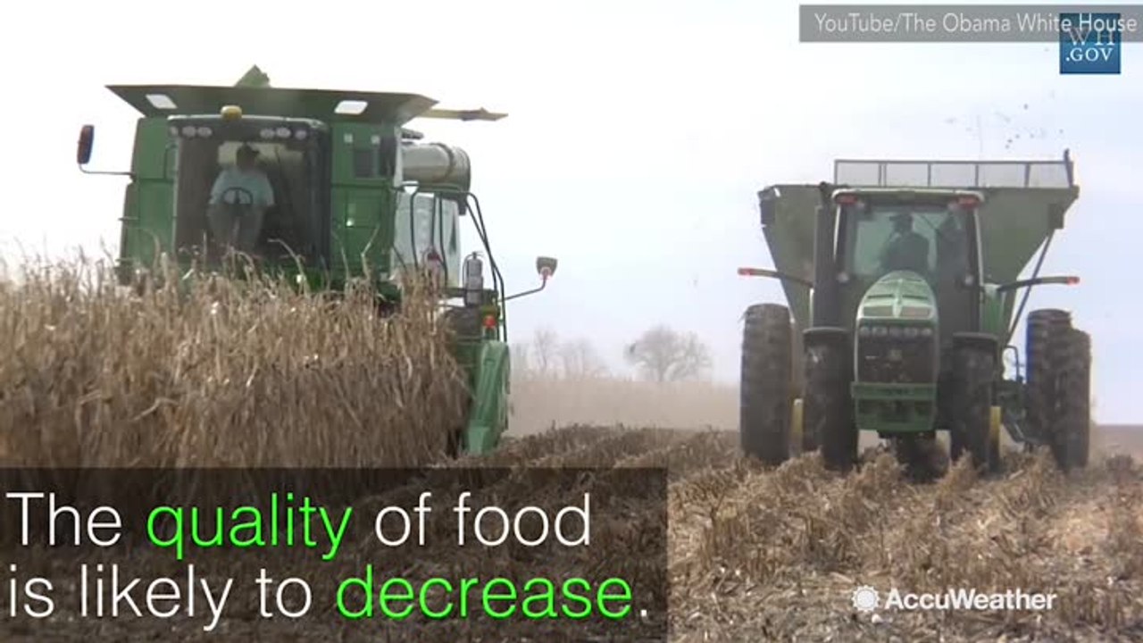 Human nutrition at risk from rising carbon diox...