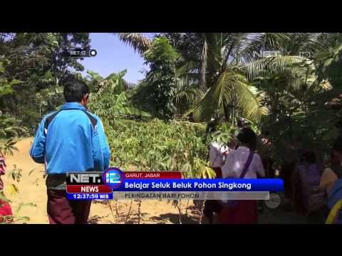 Peringatan Hari Pohon di Garut - NET12