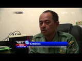 Minyak Olahan Kelapa Sawit yang Tumpah di Riau Tak Layak Konsumsi -NET12