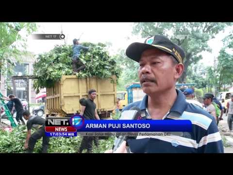 Evakuasi Pohon Tumbang di Jakarta - NET17
