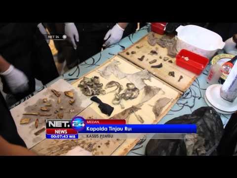 Penemuan 20 Potongan Tulang Manusia - NET24