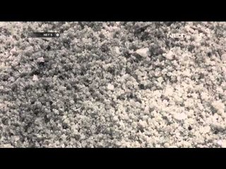 Hujan rusak garam siap panen di Sumenep - NET5