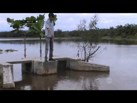 Dua bocah di langkat Sumatera Utara tewas setelah bermain air sungai saat banjir - NET17