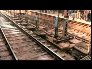 Kisah Penyelamatan Seekor Monyet oleh Sesamanya -NET24