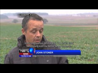 Penemuan Koin Kuno di Inggris - NET12