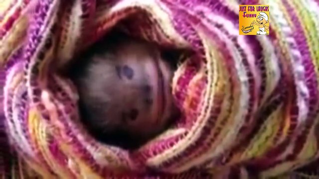 Funny Videos 2016 - Funny Videos Girls - Funny Pranks - Try Not To Laugh Or Grin of Octorber #1