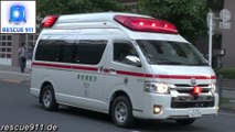 Ambulance Tokyo Fire Department Kanda Fire Station (collection)