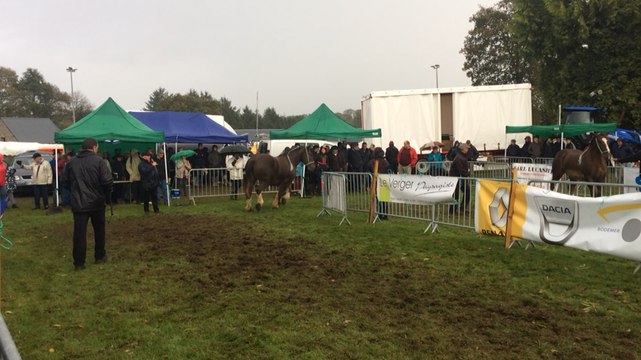 Foire aux chevaux de Kerien