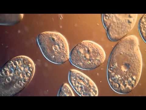 Agenda Tips sehat memperlakukan pakaian bekas ataupun pakaian baru - NET5