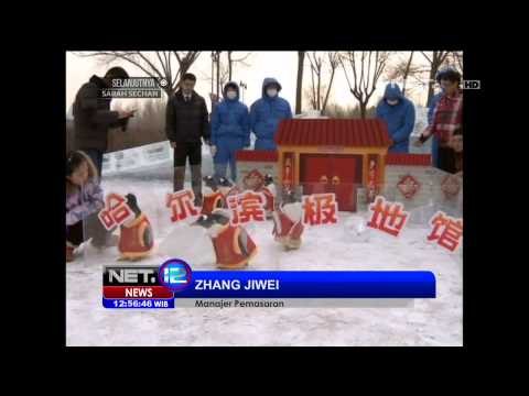 Pinguin gunakan kostum pada festival kostum tradisional di Cina - NET12