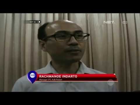 Ikan Hiu Paus Terjebak di PLTU Probolinggo selama 10 Hari - NET24
