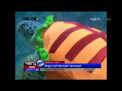 Menyambut Tahun Baru Cina, Satwa-Satwa di Cina Memakai Baju Tradisional - NET5