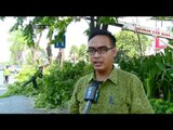 Pemangkasan Ranting Untuk Cegah Pohon Roboh di Surabaya - NET12