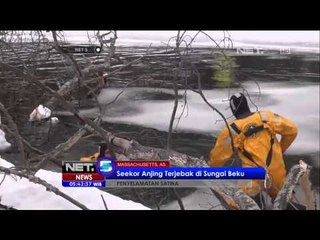 Seekor anjing terjebak di Sungai Membeku - NET5