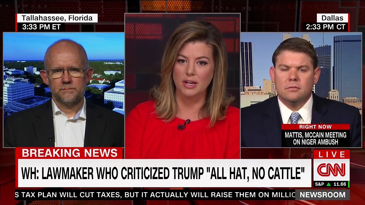 'Feed the Donald Trump ego machine': Rick Wilson schools Ben Ferguson on Trump's 'juvenile' behavior