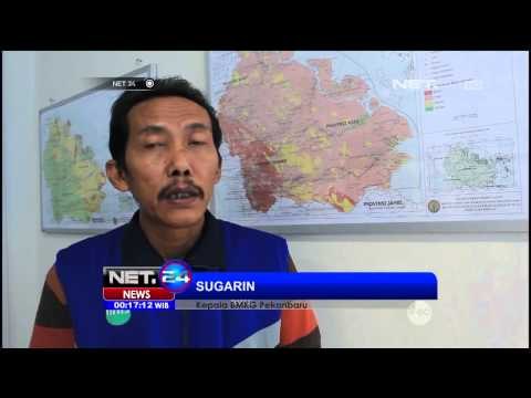 Ribuan Hektar Hutan Terbakar di Pekanbaru, Riau - NET24