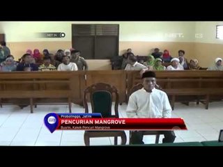 Kakek dihukum dua tahun penjara karena curi 3 batang pohon - NET24