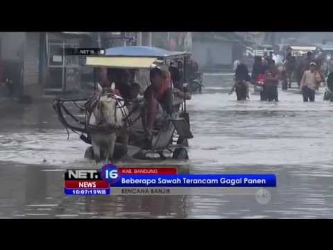 Bencana Banjir di Bandung Beberapa Sawah Terncam Gagal Panen - NET16