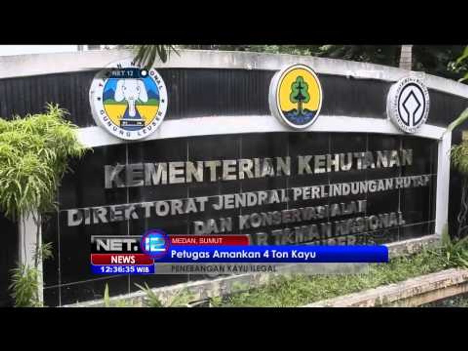 Petugas Amankan 4 Ton Kayu Ilegal di Medan - NET12