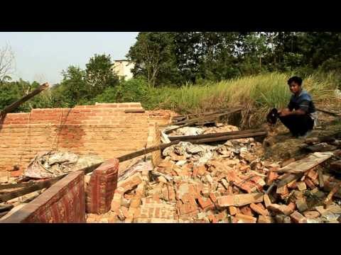 Hujan Lebat Akibatkan Pohon Tumbang dan Timpa Mobil di Purwokerto - NET24