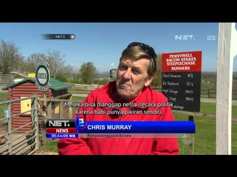 Warga Inggris Gelar Balap Antar Babi Mirip Kandidat Perdana Menteri - NET5