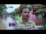 Banjir akibatkan ratusan rumah di Karawang terendam - NET24