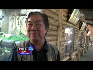 Kelahiran satwa Jaguar tambah dafrat koleksi satwa TSI - NET24