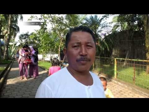 Liburan Panjang, Aquarium Raksasa di Banyumas Ramai Pengunjung - NET24