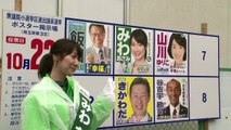 Learning to fly: Ex-flight attendant aims high in Japan vote