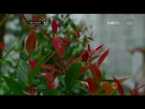 NET Sport Talk - Pandangan Masyarakat Terkait Pengunduran Jadwal QNB League 2015