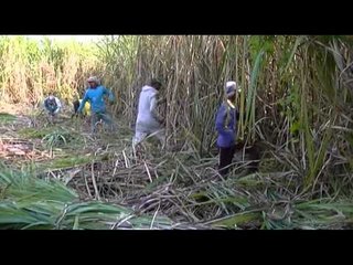 Pedagang Beras di Tegal Resah dengan Rencana Impor Beras - NET5
