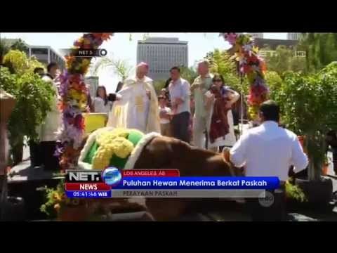 Perayaan Paskah di Los Angeles Puluhan Hewan Menerima Berkat - NET5