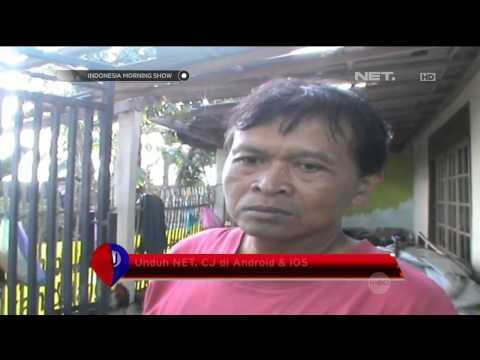 Pohon Tumbang Timpa Rumah di Banyumas, Jawa Tengah - IMS