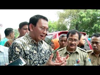 Ahok blusukan ke Taman Hayam Wuruk - NET12