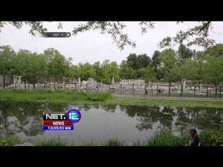 Kontroversi Pembangunan Replika China Summer Palace - NET12