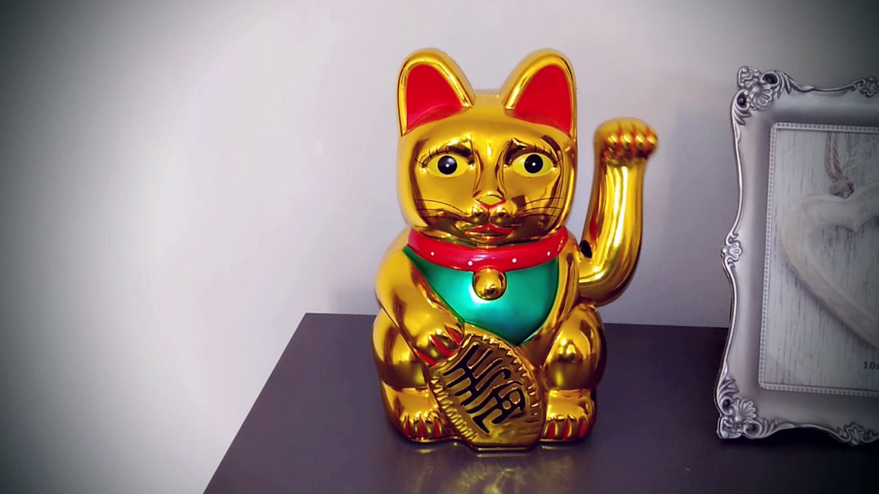 Don't watch this!  Lucky Charm Cat - Video for LUCK