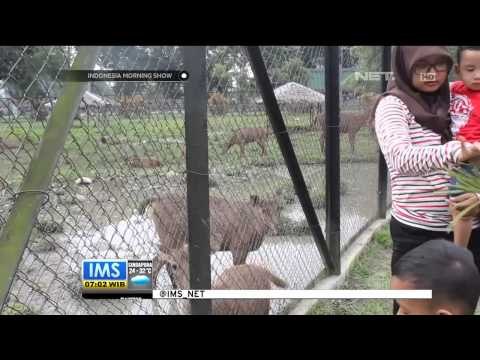 Wisata Liburan di Taman USU, Sumatera Utara - IMS