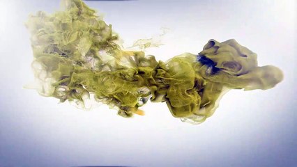 (PUNTO C) Los Tres Editores SAS pregunta 12 matematicas 5